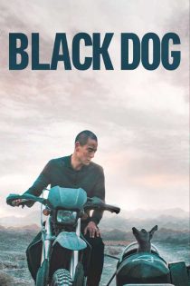 دانلود فیلم سگ سیاه Black Dog 2024 زیرنویس و دوبله فارسی دانلود فیلم سگ سیاه Black Dog 2024 زیرنویس و دوبله فارسی