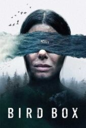 دانلود فیلم Bird Box 2018 (جعبه پرنده 1) با زیرنویس و دوبله فارسی