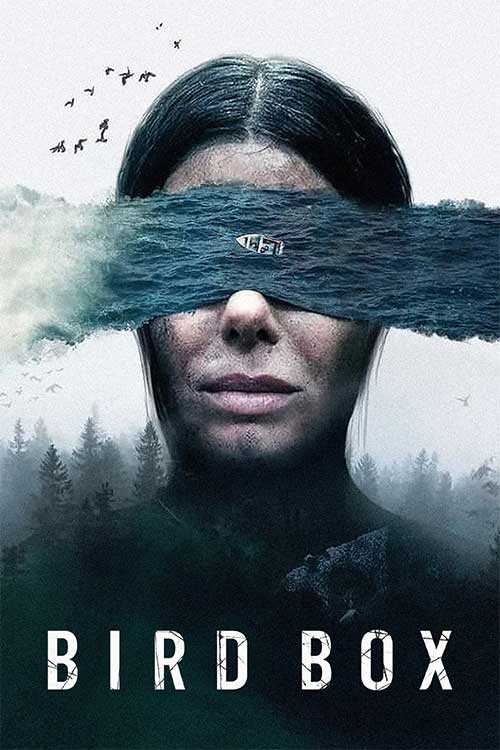 دانلود فیلم جعبه پرنده 1 Bird Box 2018 با دوبله فارسی