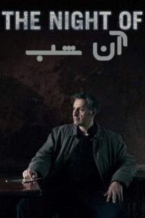 دانلود مینی سریال The Night Of (آن شب) با زیرنویس فارسی