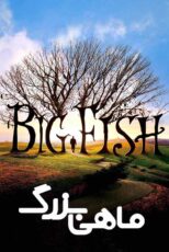 دانلود فیلم Big Fish 2003 (ماهی بزرگ) با زیرنویس فارسی