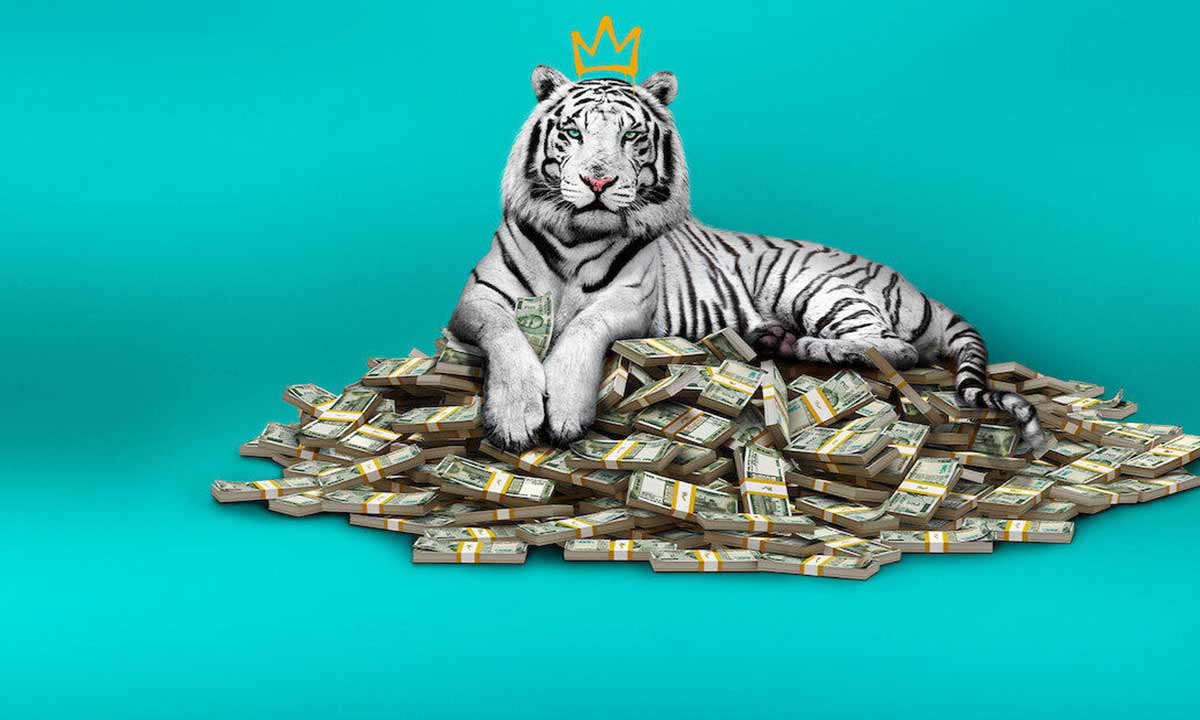 دانلود فیلم The White Tiger 2021 (ببر سفید) با زیرنویس فارسی دانلود فیلم The White Tiger 2021 (ببر سفید) با زیرنویس فارسی
