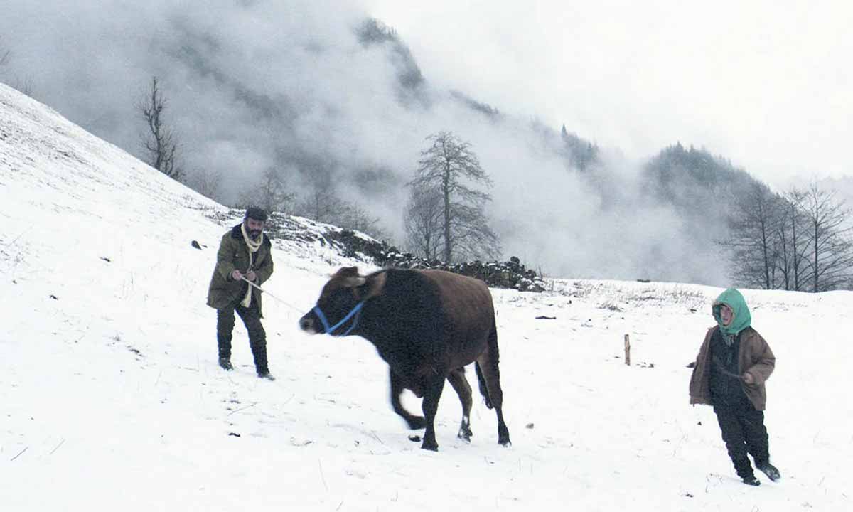 دانلود فیلم Cold of Kalandar 2015 (چله زمستان) زیرنویس فارسی دانلود فیلم Cold of Kalandar 2015 (چله زمستان) زیرنویس فارسی