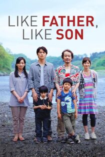 دانلود فیلم Like Father, Like Son 2013 (پسر مثل پدر) زیرنویس فارسی