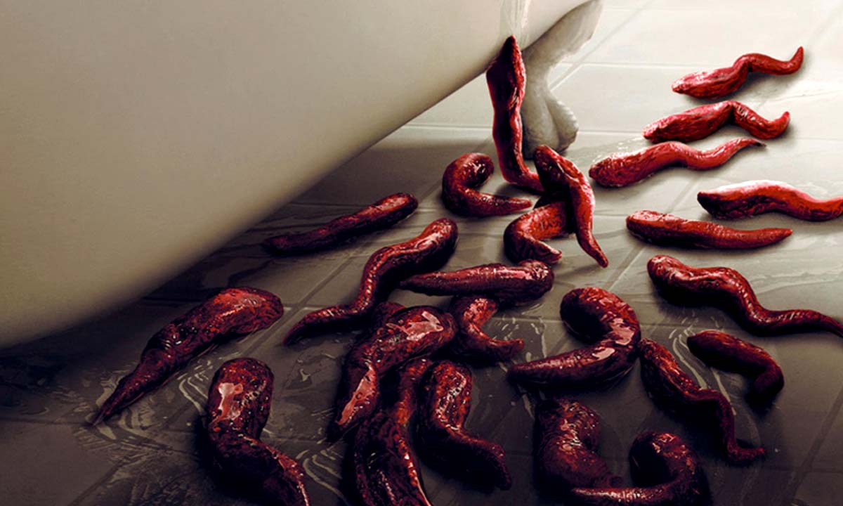دانلود فیلم Slither 2006 (خزیدن) با زیرنویس فارسی
