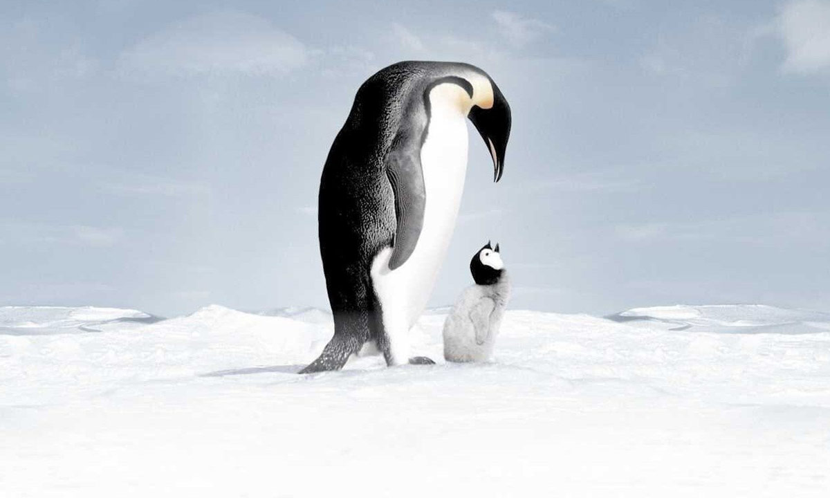 دانلود مستند March of the Penguins 2005 (رژه پنگوئن ها) زیرنویس فارسی