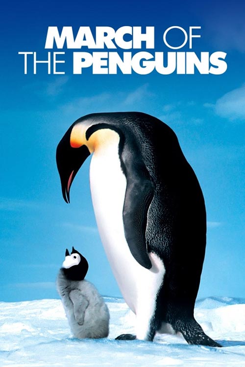 دانلود مستند March of the Penguins
