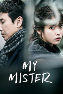 دانلود سریال My Mister (آجوشی من) زیرنویس فارسی