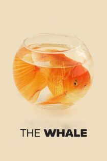 دانلود فیلم The Whale 2022 (نهنگ) با زیرنویس فارسی