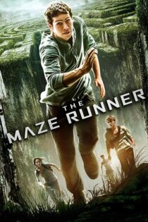 دانلود فیلم The Maze Runner 2014 (دونده هزارتو ۱) زیرنویس فارسی