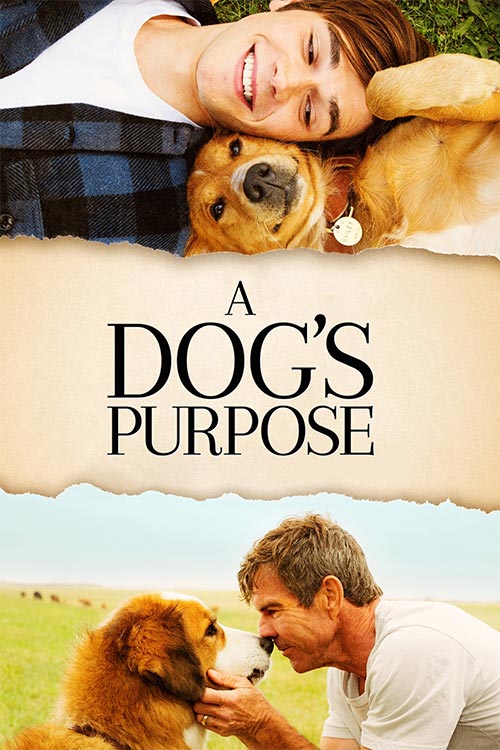 دانلود فیلم A Dog's Purpose 2017 با زیرنویس فارسی