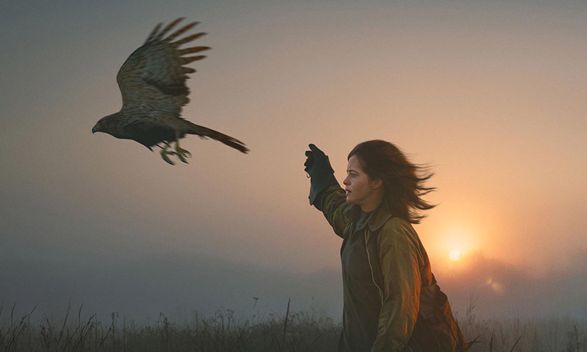 دانلود فیلم H Is for Hawk 2025 (ب مثل باز) با زیرنویس فارسی