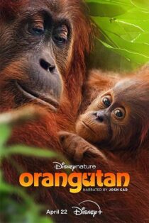 دانلود مستند Orangutan 2026