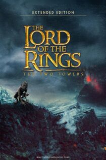 دانلود فیلم The Lord of the Rings 2 2002 ارباب حلقه‌ها ۲ دوبله فارسی
