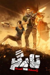 دانلود فیلم Tiger Zinda Hai 2017 (تایگر زنده است) زیرنویس فارسی