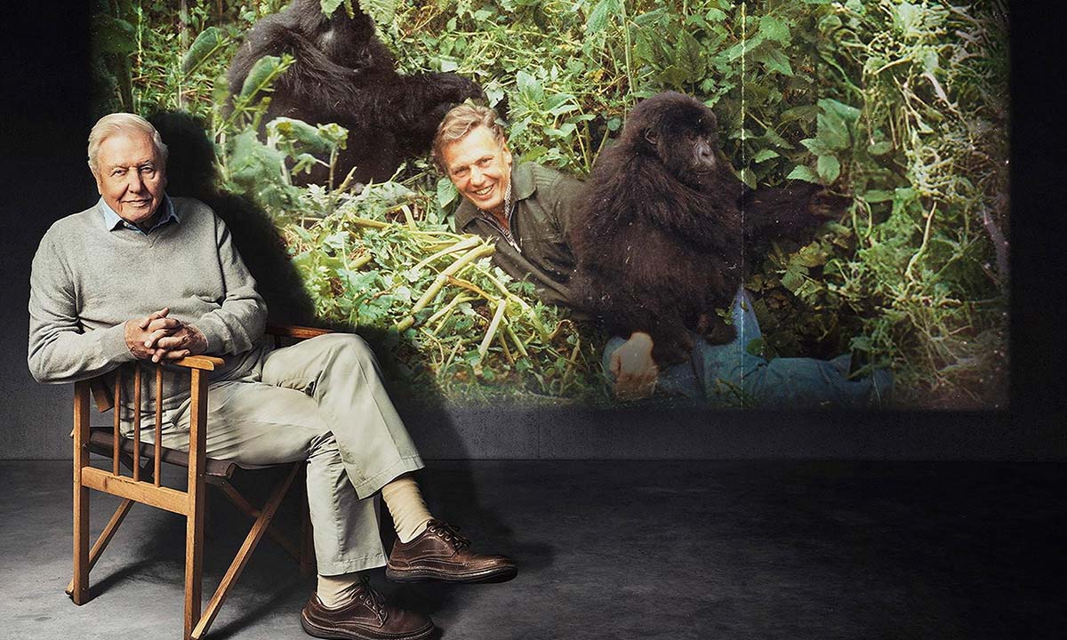 دانلود مستند Attenborough’s Greatest Adventure 2026 بزرگ ترین ماجراجویی اتنبرو دانلود مستند Attenborough’s Greatest Adventure 2026 بزرگ ترین ماجراجویی اتنبرو