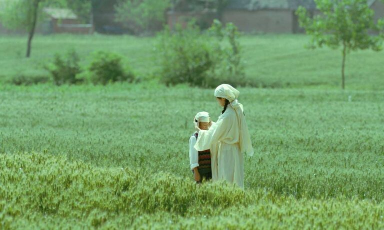 دانلود فیلم Living the Land 2025 (زیستن با زمین) زیرنویس فارسی