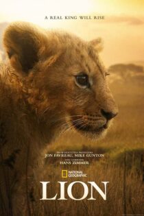 دانلود مستند Lion 2026