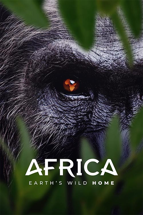 دانلود مستند Africa Earth's Wild Home