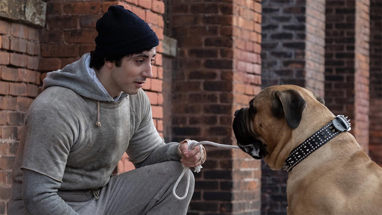 دانلود فیلم I Play Rocky 2026 (من در نقش راکی) زیرنویس فارسی دانلود فیلم I Play Rocky 2026 (من در نقش راکی) زیرنویس فارسی