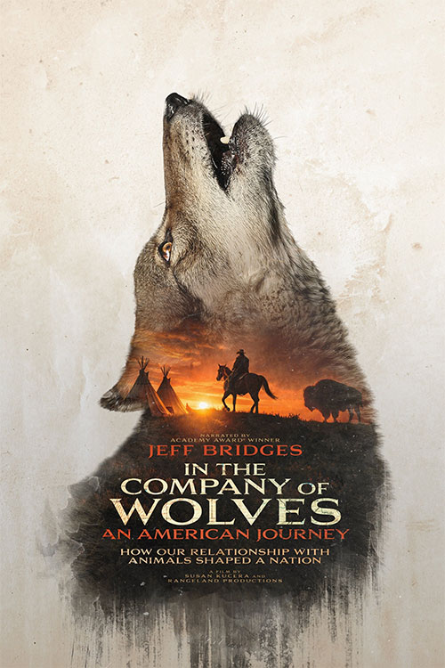 دانلود مستند In the Company of Wolves: An American Journey 2026