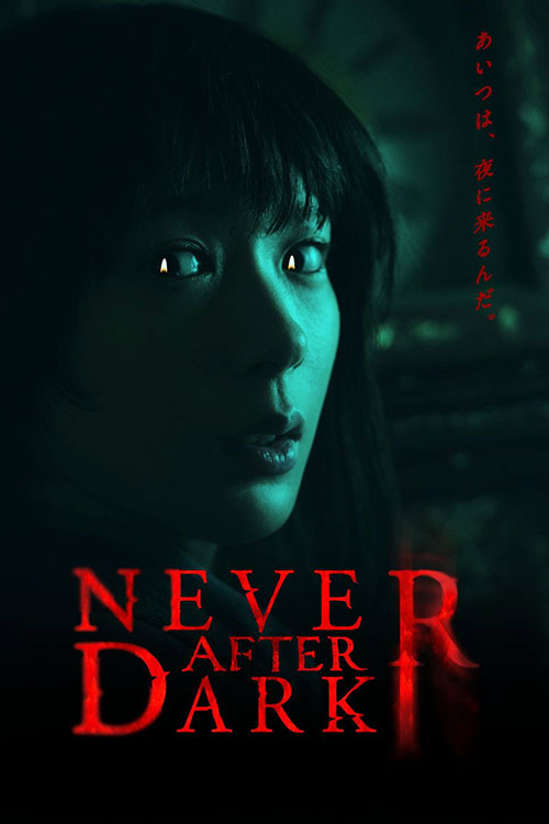 دانلود فیلم Never After Dark 2026
