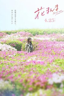 دانلود فیلم Petals and Memories 2025