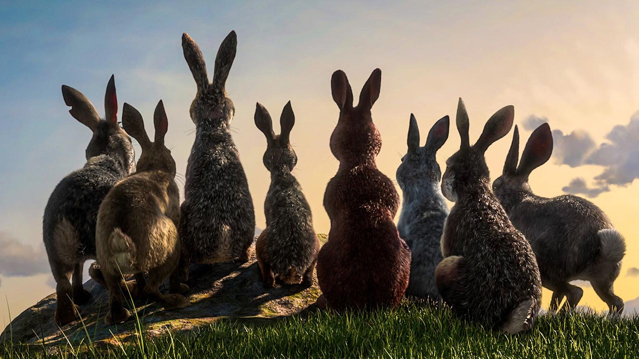 دانلود مینی سریال Watership Down 2018 واترشیپ دون دانلود مینی سریال Watership Down 2018 واترشیپ دون